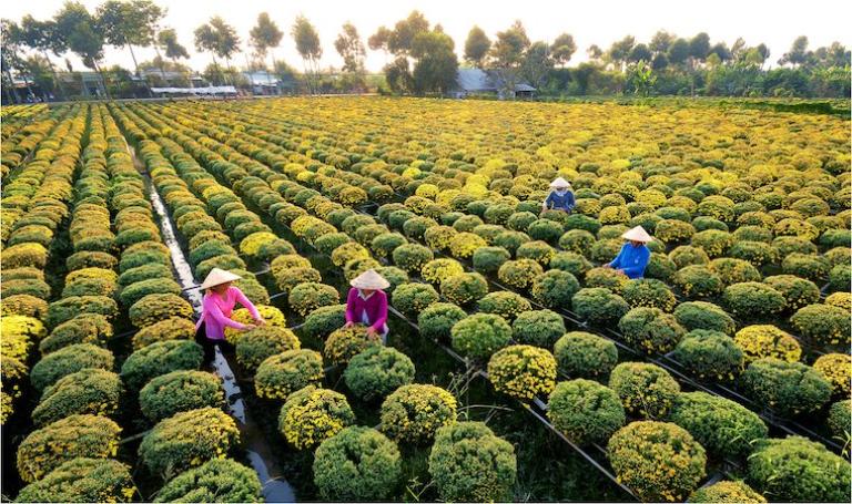 Vietnamese Villages