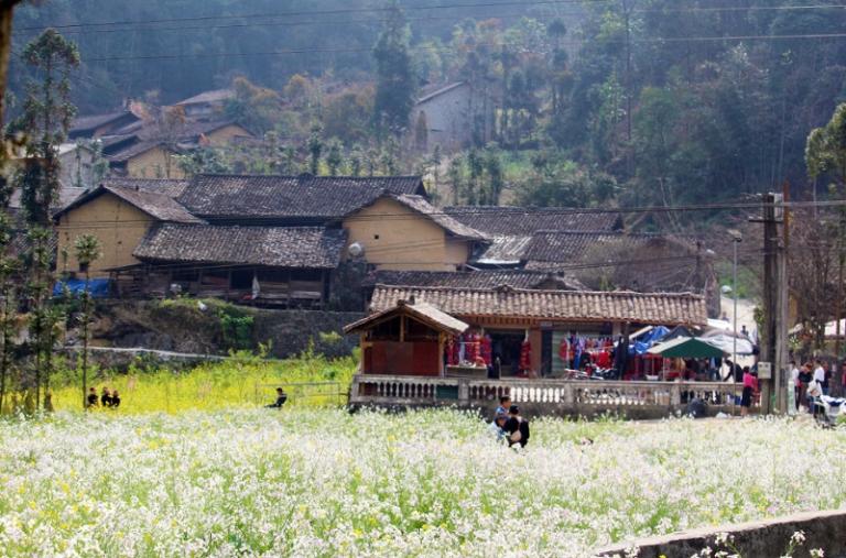 Vietnamese Villages