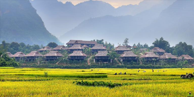 Vietnamese Villages