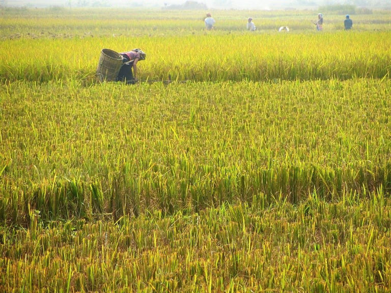 Vietnam's Limestone Loop