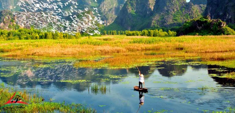 Take a boat ride on Cuc Phuong Lagoon and immerse yourself in the serene beauty of Vietnam’s oldest forest.