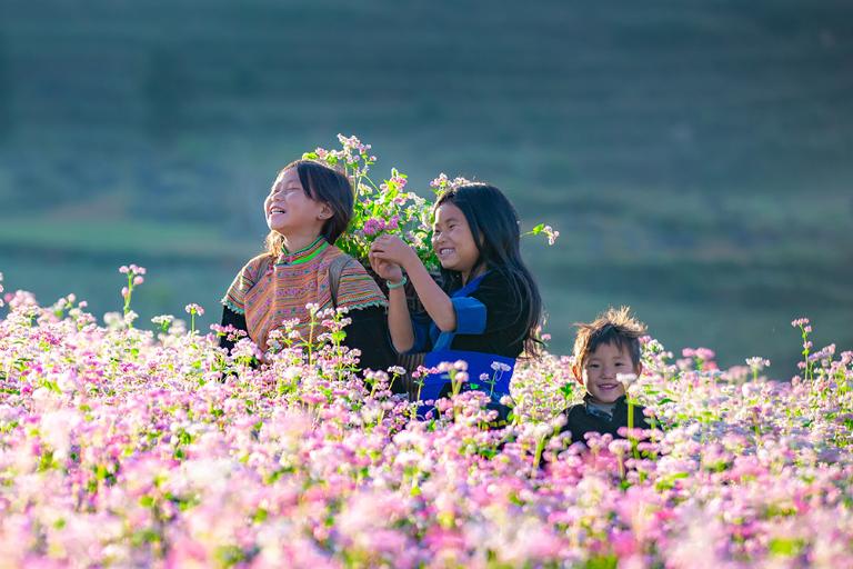 The blooming buckwheat flowers bring a gentle touch of beauty to the fields.