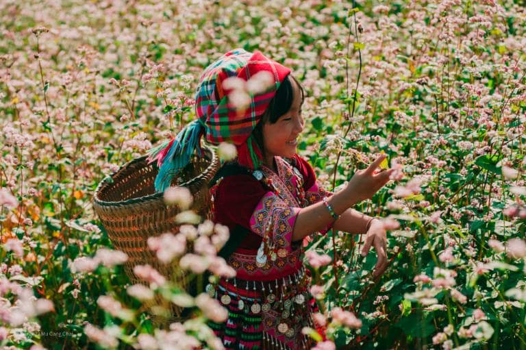 Explore Lung Cam Valley for stunning views of buckwheat flowers and H'mong culture.