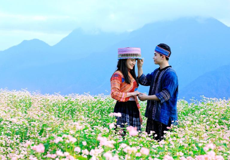 Buckwheat flowers in Ha Giang hold timeless stories of strength, love, and mountain spirit.