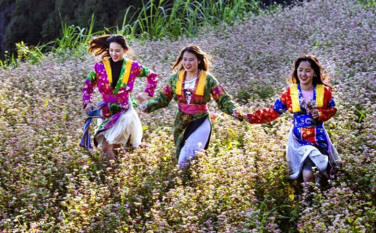 The Buckwheat Flower Valley Festival in Ha Giang celebrates the beauty and culture of the region with vibrant displays.