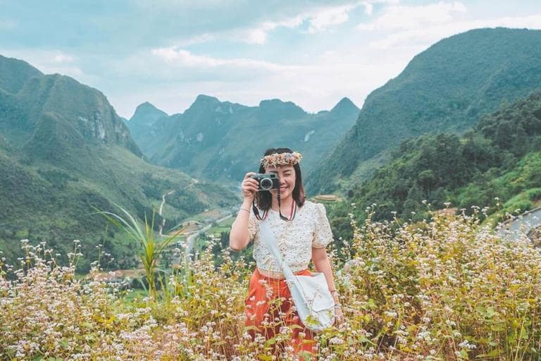 Experience the breathtaking beauty of Buckwheat Flower Valley in the stunning Dong Van Stone Plateau.