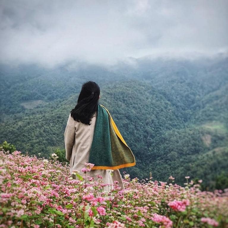 When visiting Buckwheat Flower Valley, wear comfortable, layered clothing to adapt to changing temperatures, and choose sturdy shoes for walking.