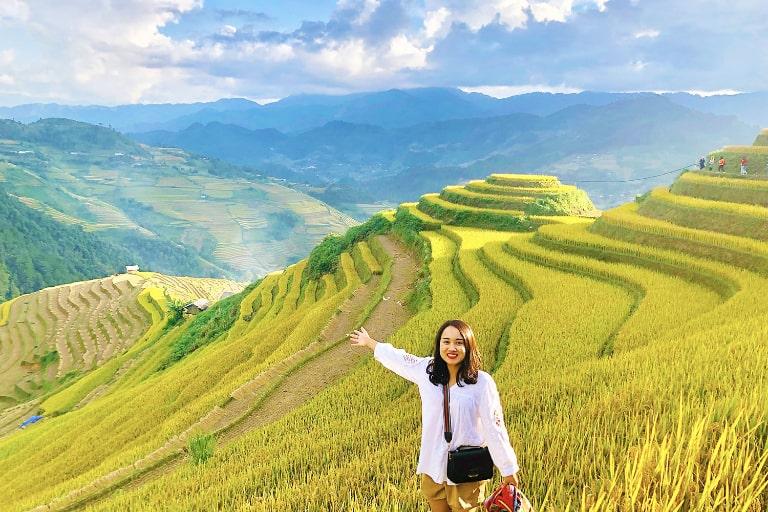 The sight of golden rice fields brings peace, joy, and a sense of harvest and nature's beauty.