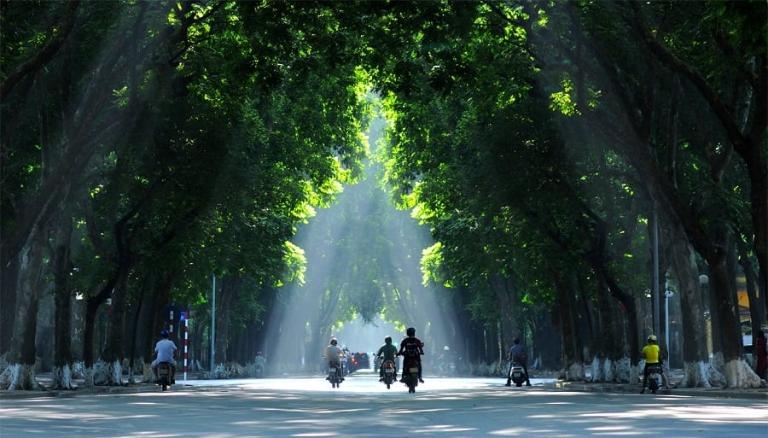 Autumn in Hanoi is stunning, with golden leaves, cool air, and a peaceful, nostalgic vibe.