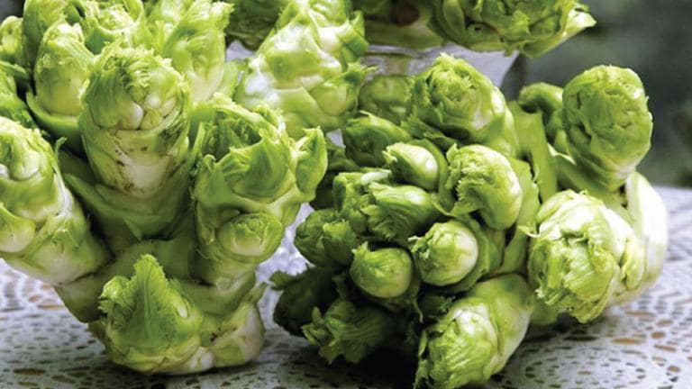 Sapa’s stone sprout vegetable, a rare winter green, is only available from November to March.