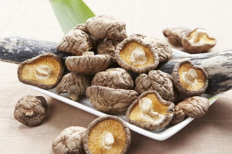 Wild shiitake mushrooms from Sapa offer a unique, aromatic taste and can be cooked in many delicious ways.