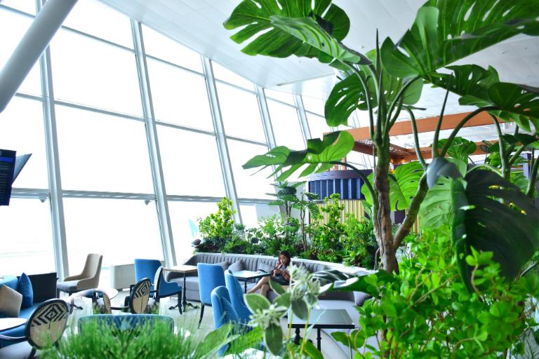 Lounges and amenities provide relaxation with access to free Wi-Fi and dining options.