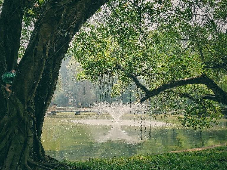 The Botanical Gardens in Hanoi offer a peaceful, free retreat with lush greenery and walking paths.