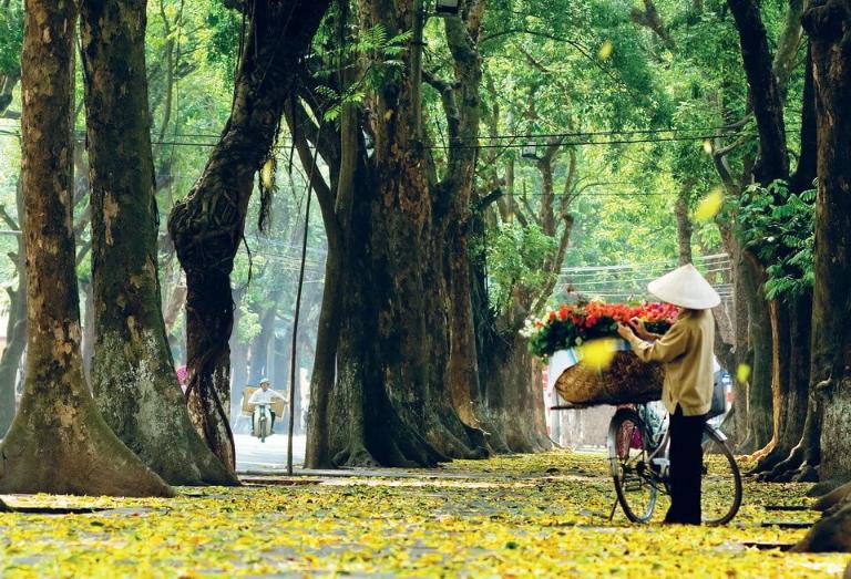 Discover endless outdoor fun in Hanoi's inner city with biking, walking tours, and vibrant local scenes!