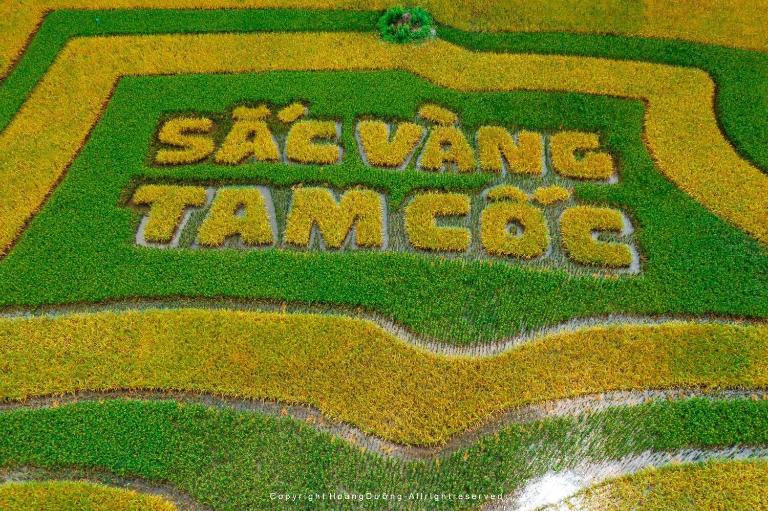 Sail through caves, rice fields, and limestone hills on Tam Coc’s peaceful Ngo Dong River boat tour.