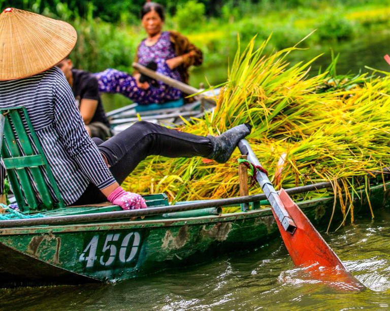 Tam Coc offers peaceful river rides amidst limestone karsts and rice fields—a serene escape from the city.