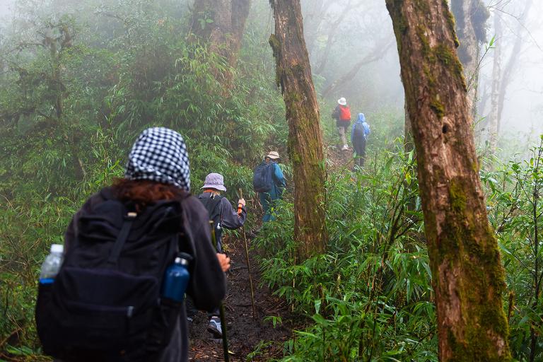 The trek begins in Kim Hòa, where lush landscapes greet adventurers, setting the stage for an unforgettable experience.