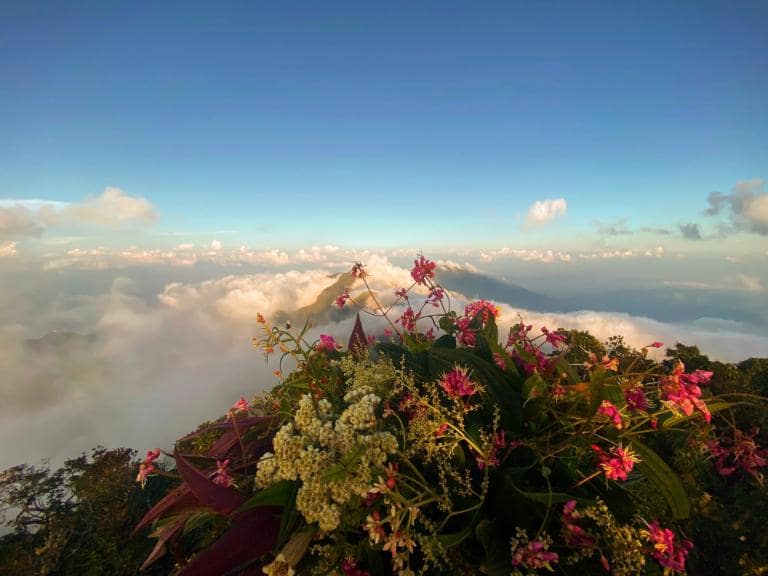 At the summit, immerse yourself in breathtaking vistas of Hoàng Liên Sơn and the vibrant valleys below, a true reward for your efforts.