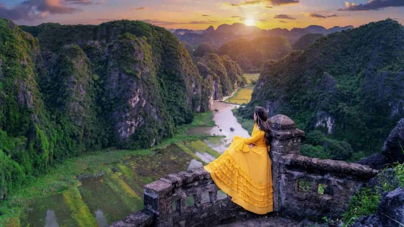 Mua Cave viewpoint in Ninh Bình during sunrise or sunset, overlooking golden rice fields and limestone karsts.