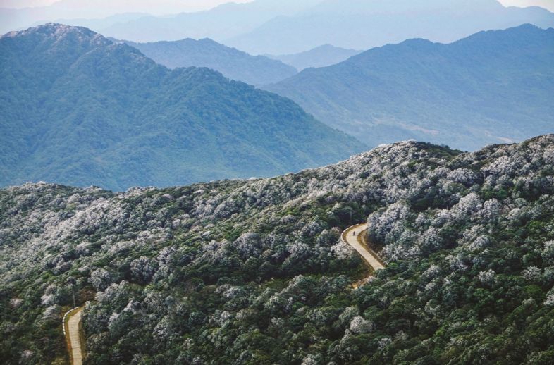 Encounters with Rare Wildlife