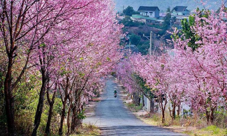 Best Time for Motorbike Tour in Vietnam