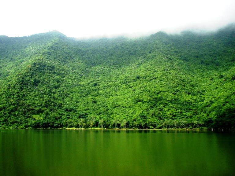 Cuc Phuong National Park