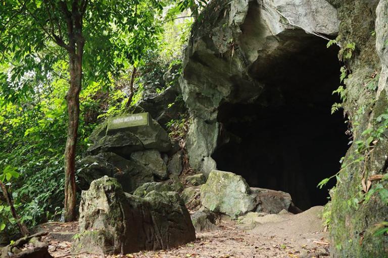 Cuc Phuong National Park