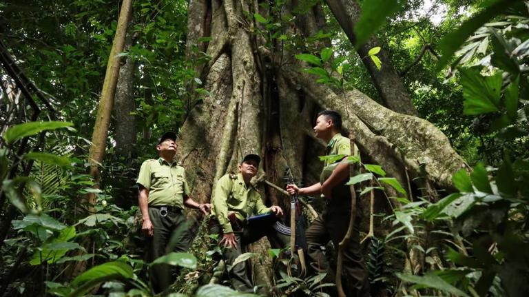 Cuc Phuong National Park