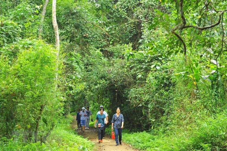 Cuc Phuong National Park