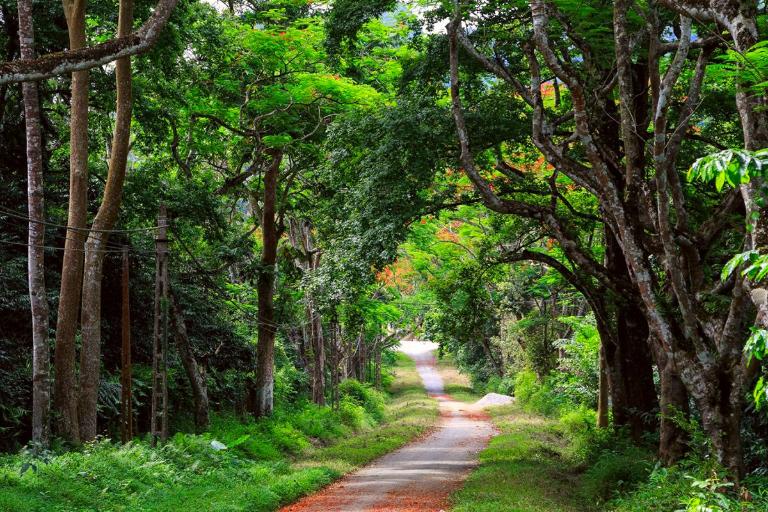 Cuc Phuong National Park