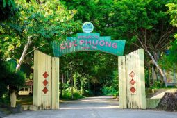 Cuc Phuong National Park