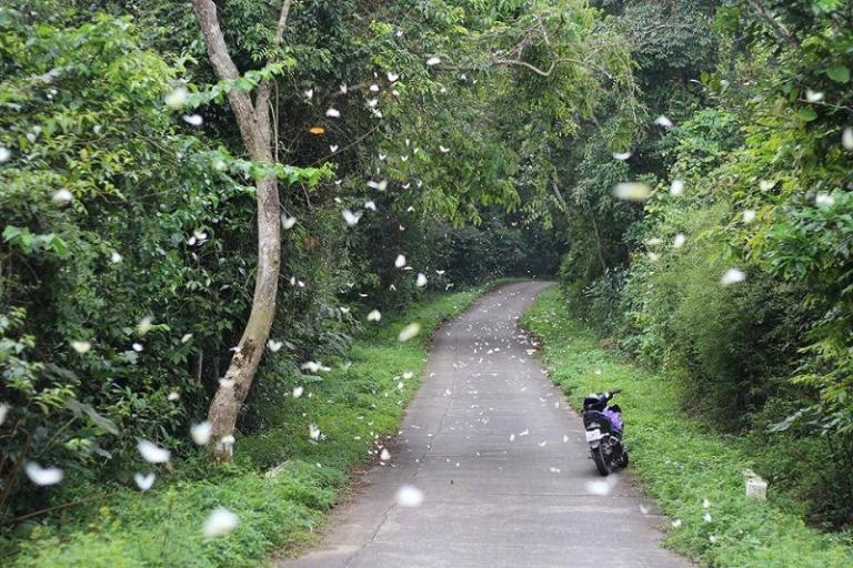 Cuc Phuong National Park