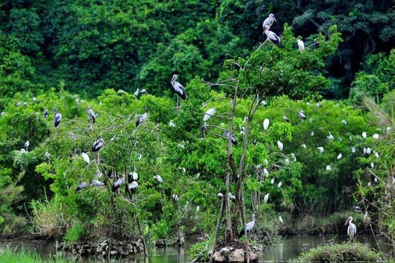 Cuc Phuong National Park