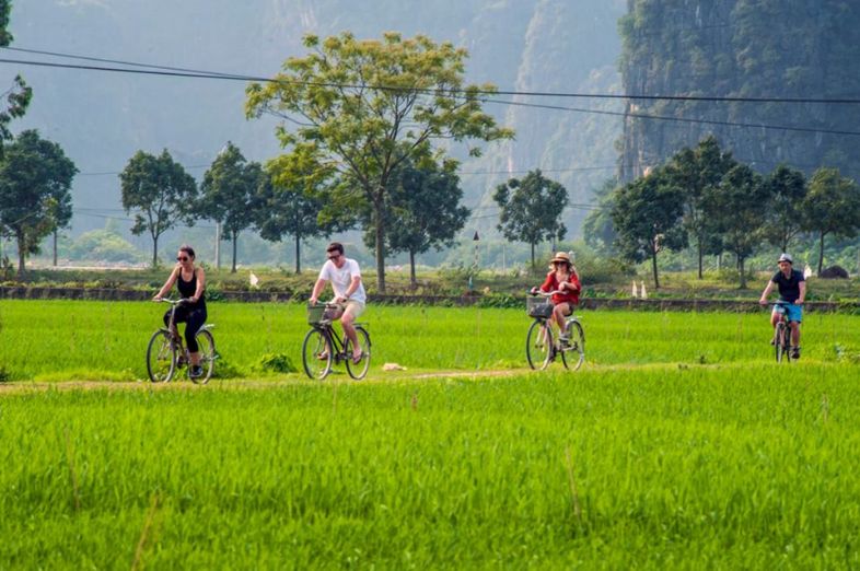 Cyclists riding along a rural path in Ninh Bình, Vietnam, surrounded by green rice fields and limestone mountains.