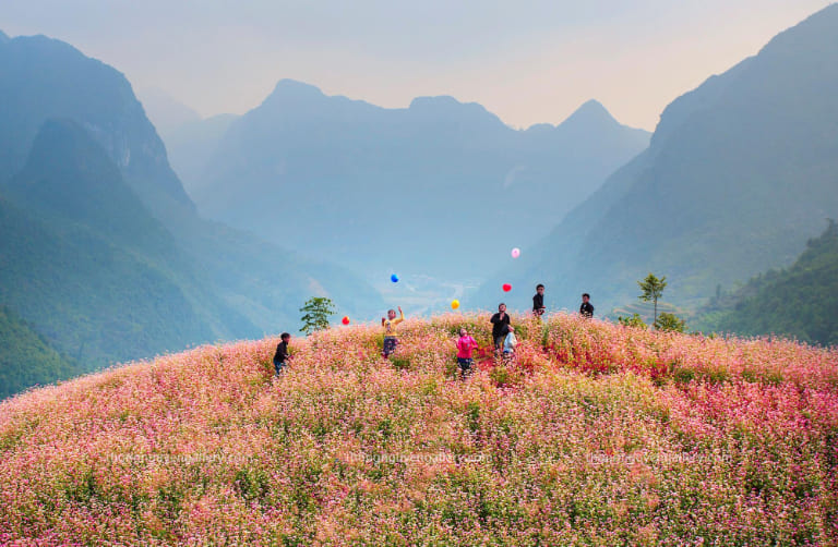 Ha Giang Loop with Easy-Rider or Self-Riding Tours