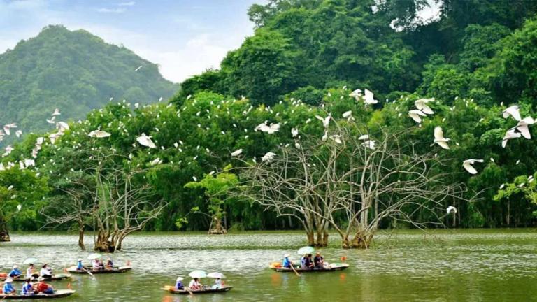 Must-Visit Destinations in Ninh Binh