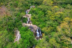 National Parks in Vietnam