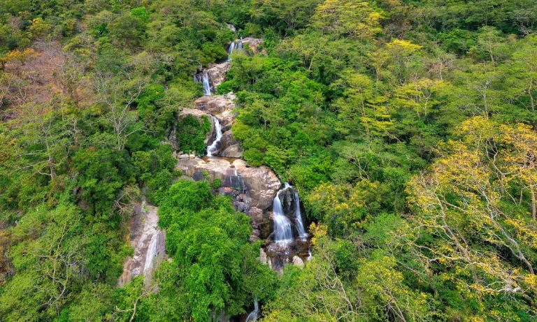 National Parks in Vietnam