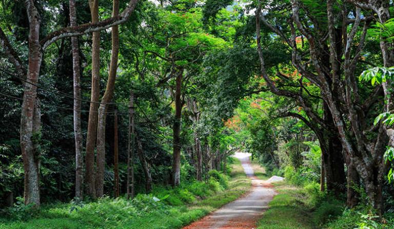 National Parks in Vietnam