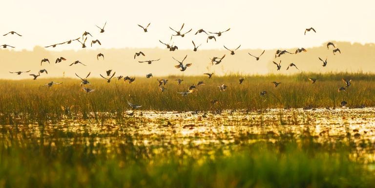 National Parks in Vietnam