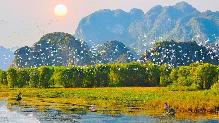 Ninh Binh Rice Fields