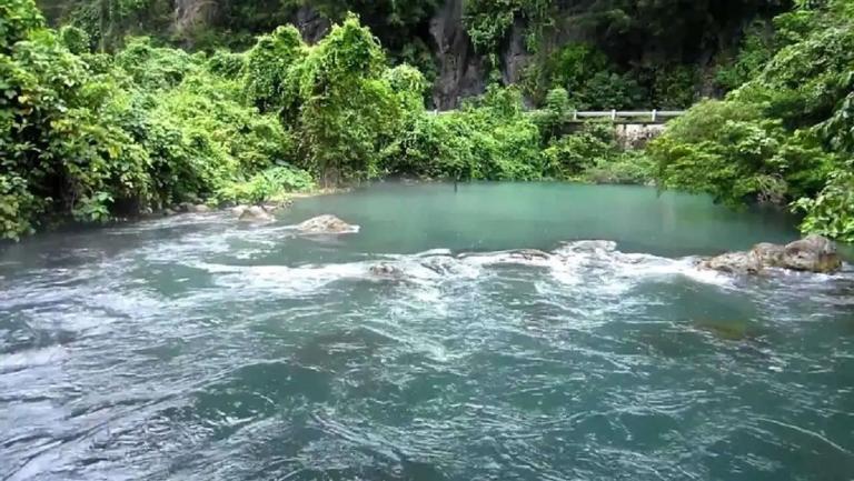 Ninh Binh Rice Fields