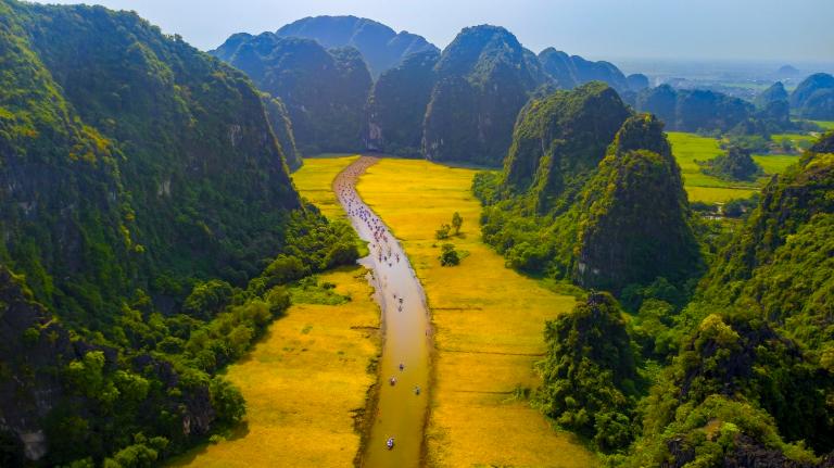 Ninh Binh Rice Fields