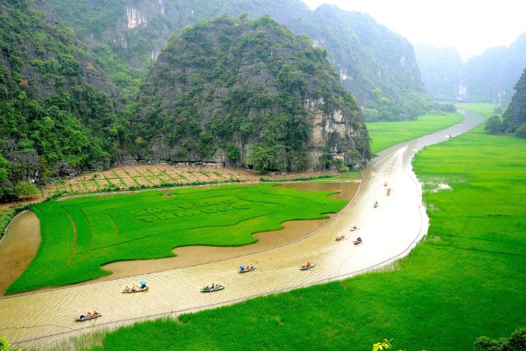 Ninh Binh Rice Fields