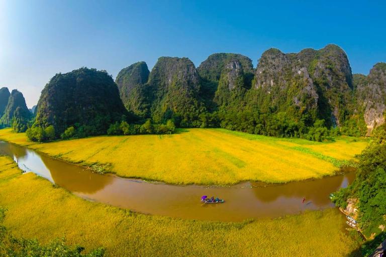 Ninh Binh Rice Fields