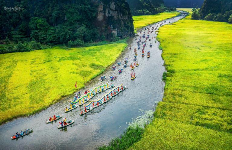 Ninh Binh Rice Fields