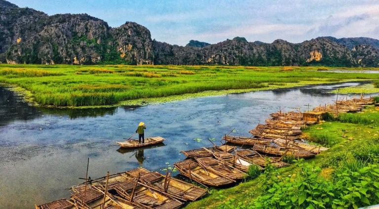 Ninh Binh Rice Fields