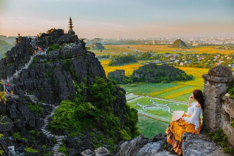 Ninh Binh Rice Fields