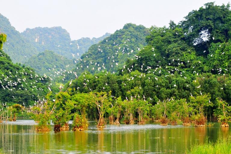 Ninh Binh Travel