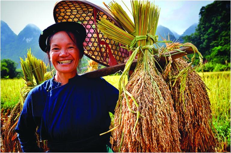 Phong Nam Valley